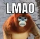 monkelmao