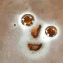 Happy_to_see_you