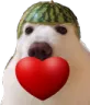 m_lovdogo m_lovdogo