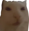 JCSHashy JCSHashy