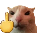 catFU