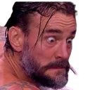 CMPunk5