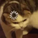Cat Loading Discord Emoji