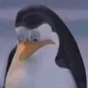 E_agonypenguin E_agonypenguin