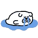 bear_cri