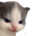 hehehe
