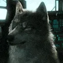 DDWink