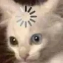w_catload
