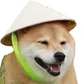 kekdoge