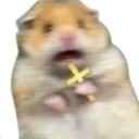 someone_fear