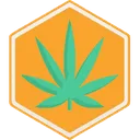 level_1_hc_collector