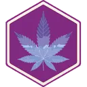 level_3_hc_collector