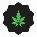 level_4_hc_collector