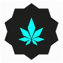 level_5_hc_collector