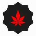 level_6_hc_collector