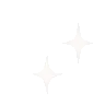 Cat_40