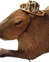Capyeehaw
