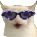 CatChest