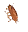 spin
