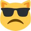 catFrown