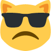 :catFrown: