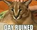 badday