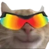 wickedcat