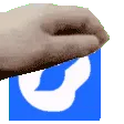serverpetartist