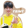Rawr Discord emoji