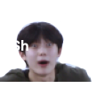 Shook Discord emoji