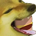 dogeburger1_978808449771143248 Discord Emoji