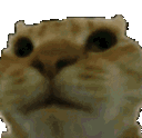 Catshake CatShake Discord Emoji