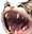 GAT Discord emoji