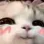 CatBlush CatBlush