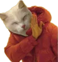 cursedno cursedno