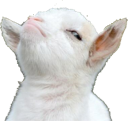 Proud_Goat Discord emoji