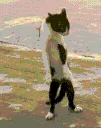 emoji_83 emoji_83