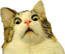 emojipng Discord Emoji | MasterJack