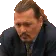DeppPalmA DeppPalmA