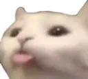 Catmlem Discord Emoji