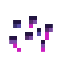 chorus_seeds