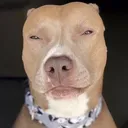 b_