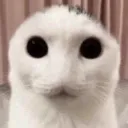 creature