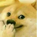 Doggo Hehe Discord Emoji