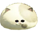 juddplead