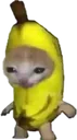 Bananacat bananacat Discord Emoji