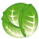 cabbage_joy