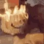 gatofuego