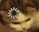 Confusedcat confusedCat Discord Emoji