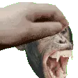MonkePet MonkePet